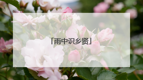 雨中识乡贤