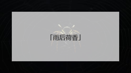 雨后荷香