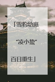 雪豹幼崽“凌小蛰”百日重生