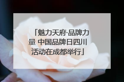 魅力天府·品牌力量 中国品牌日四川活动在成都举行