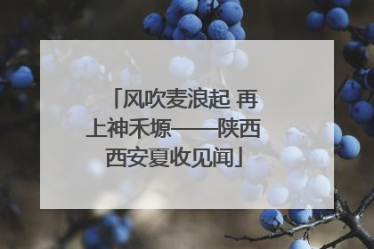 风吹麦浪起 再上神禾塬——陕西西安夏收见闻