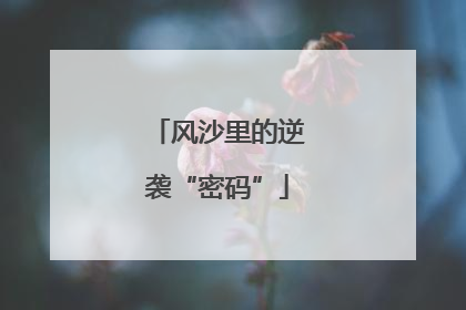 风沙里的逆袭“密码”