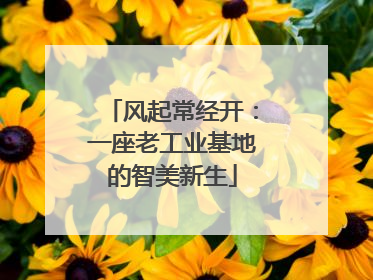 风起常经开：一座老工业基地的智美新生