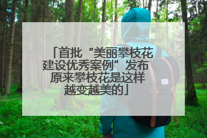 首批“美丽攀枝花建设优秀案例”发布 原来攀枝花是这样越变越美的
