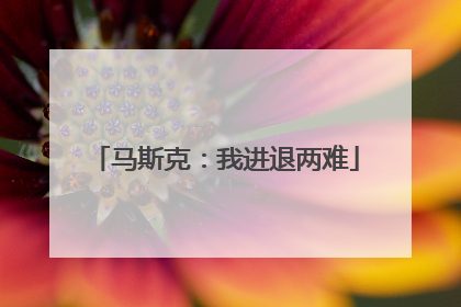 马斯克：我进退两难