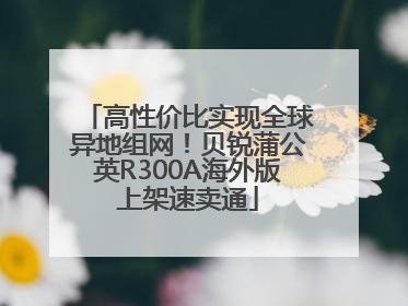高性价比实现全球异地组网！贝锐蒲公英R300A海外版上架速卖通