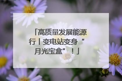 高质量发展能源行丨变电站变身“月光宝盒”！