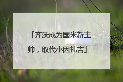 齐沃成为国米新主帅，取代小因扎吉