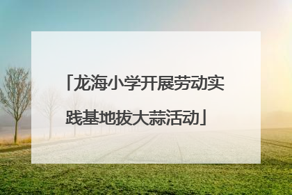 龙海小学开展劳动实践基地拔大蒜活动