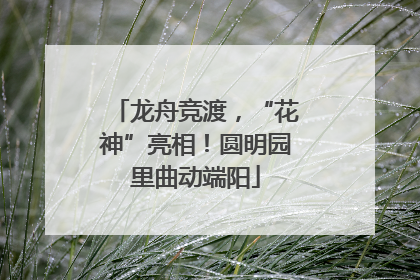 龙舟竞渡，“花神”亮相！圆明园里曲动端阳