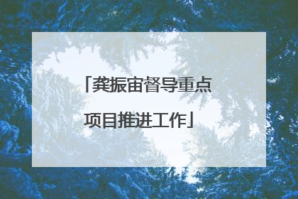龚振宙督导重点项目推进工作