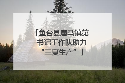 鱼台县唐马镇第一书记工作队助力“三夏生产”