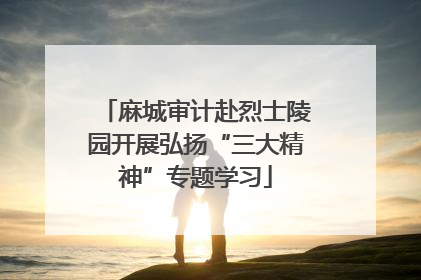 麻城审计赴烈士陵园开展弘扬“三大精神”专题学习