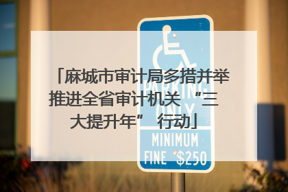 麻城市审计局多措并举推进全省审计机关 “三大提升年” 行动