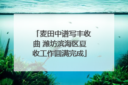 麦田中谱写丰收曲 潍坊滨海区夏收工作圆满完成