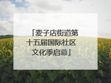 麦子店街道第十五届国际社区文化季启幕