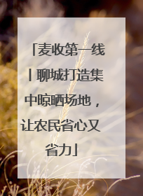麦收第一线丨聊城打造集中晾晒场地，让农民省心又省力