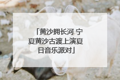 黄沙拥长河 宁夏黄沙古渡上演夏日音乐派对