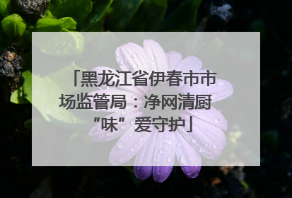 黑龙江省伊春市市场监管局：净网清厨 “味”爱守护