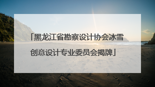 黑龙江省勘察设计协会冰雪创意设计专业委员会揭牌