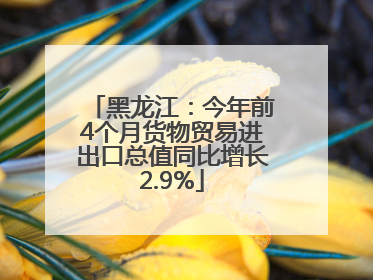 黑龙江：今年前4个月货物贸易进出口总值同比增长2.9%