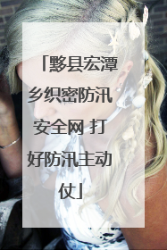 黟县宏潭乡织密防汛安全网 打好防汛主动仗