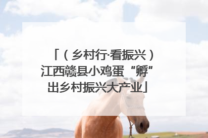 （乡村行·看振兴）江西赣县小鸡蛋“孵”出乡村振兴大产业