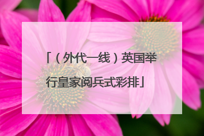 （外代一线）英国举行皇家阅兵式彩排