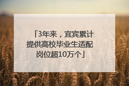 3年来，宜宾累计提供高校毕业生适配岗位超10万个
