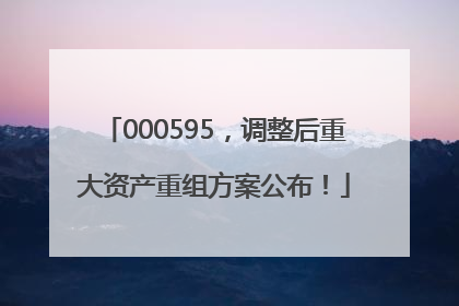 000595，调整后重大资产重组方案公布！