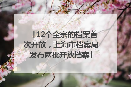 12个全宗的档案首次开放，上海市档案局发布两批开放档案