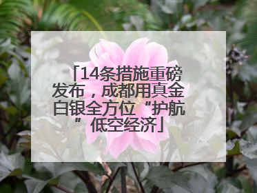 14条措施重磅发布，成都用真金白银全方位“护航”低空经济