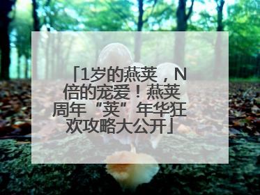 1岁的燕荚，N 倍的宠爱！燕荚周年“荚”年华狂欢攻略大公开