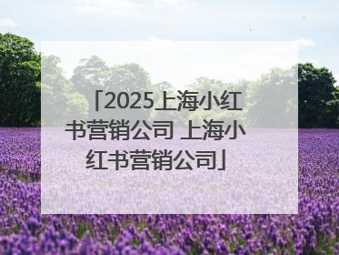 2025上海小红书营销公司 上海小红书营销公司