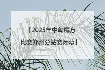 2025年中匈魔方比赛郑州分站赛闭幕