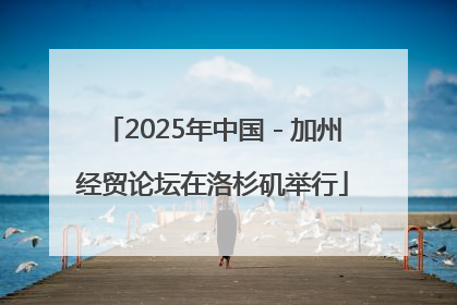 2025年中国－加州经贸论坛在洛杉矶举行