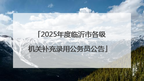 2025年度临沂市各级机关补充录用公务员公告