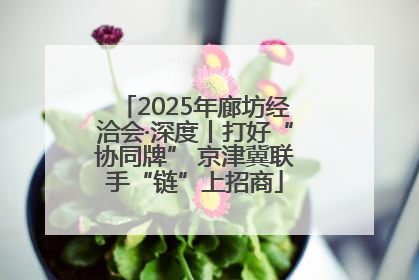 2025年廊坊经洽会·深度丨打好“协同牌” 京津冀联手“链”上招商