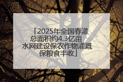 2025年全国春灌总面积约4.3亿亩 水网建设保农作物灌溉 保粮食丰收