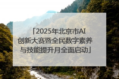 2025年北京市AI创新大赛暨全民数字素养与技能提升月全面启动