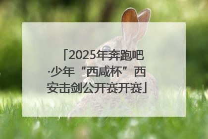 2025年奔跑吧·少年“西咸杯”西安击剑公开赛开赛