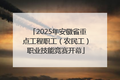 2025年安徽省重点工程职工（农民工）职业技能竞赛开幕