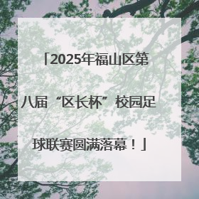 2025年福山区第八届“区长杯”校园足球联赛圆满落幕！