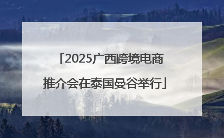 2025广西跨境电商推介会在泰国曼谷举行