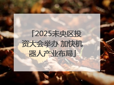 2025未央区投资大会举办 加快机器人产业布局