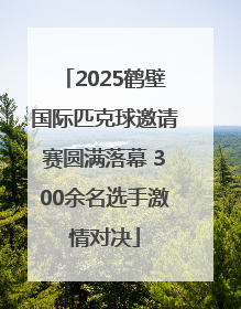2025鹤壁国际匹克球邀请赛圆满落幕 300余名选手激情对决