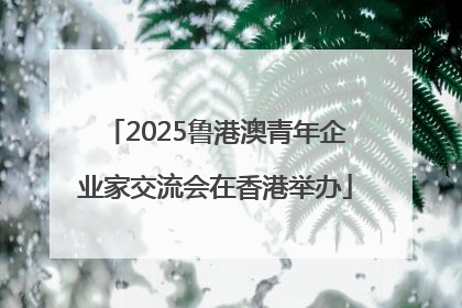 2025鲁港澳青年企业家交流会在香港举办