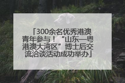 300余名优秀港澳青年参与！“山东—粤港澳大湾区”博士后交流洽谈活动成功举办