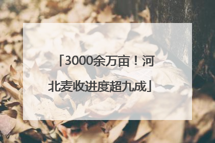 3000余万亩！河北麦收进度超九成