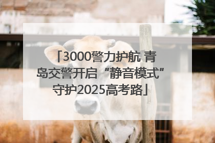 3000警力护航 青岛交警开启“静音模式”守护2025高考路